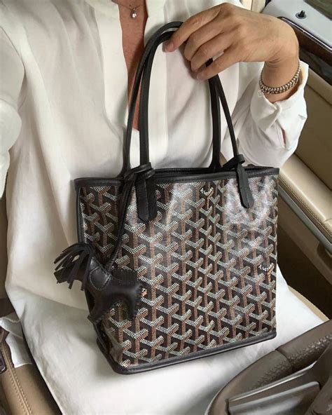 goyard mini anjou price